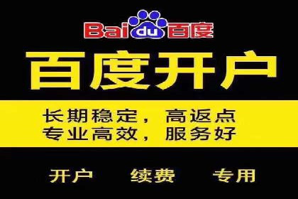 百度SEM竞价推广，助力电商企业突破瓶颈